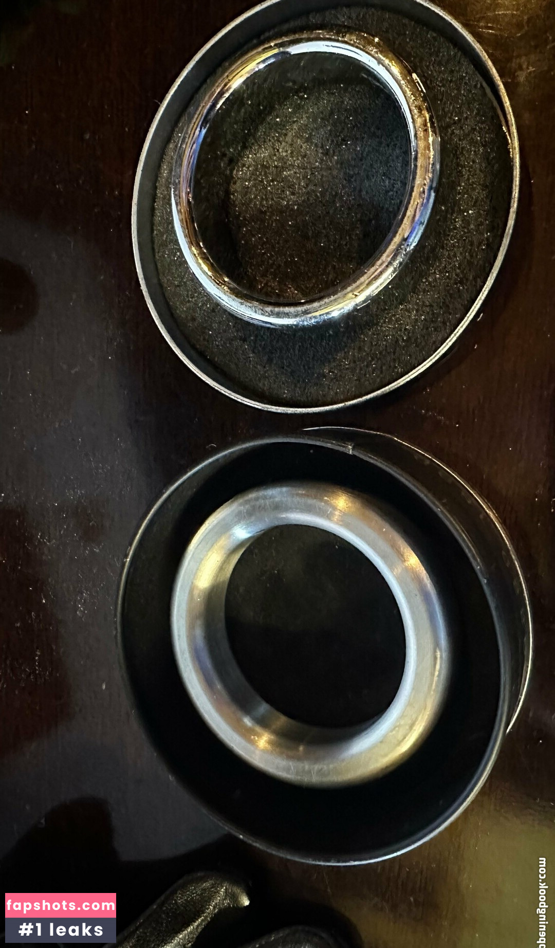 musclebulls gallery photo #10