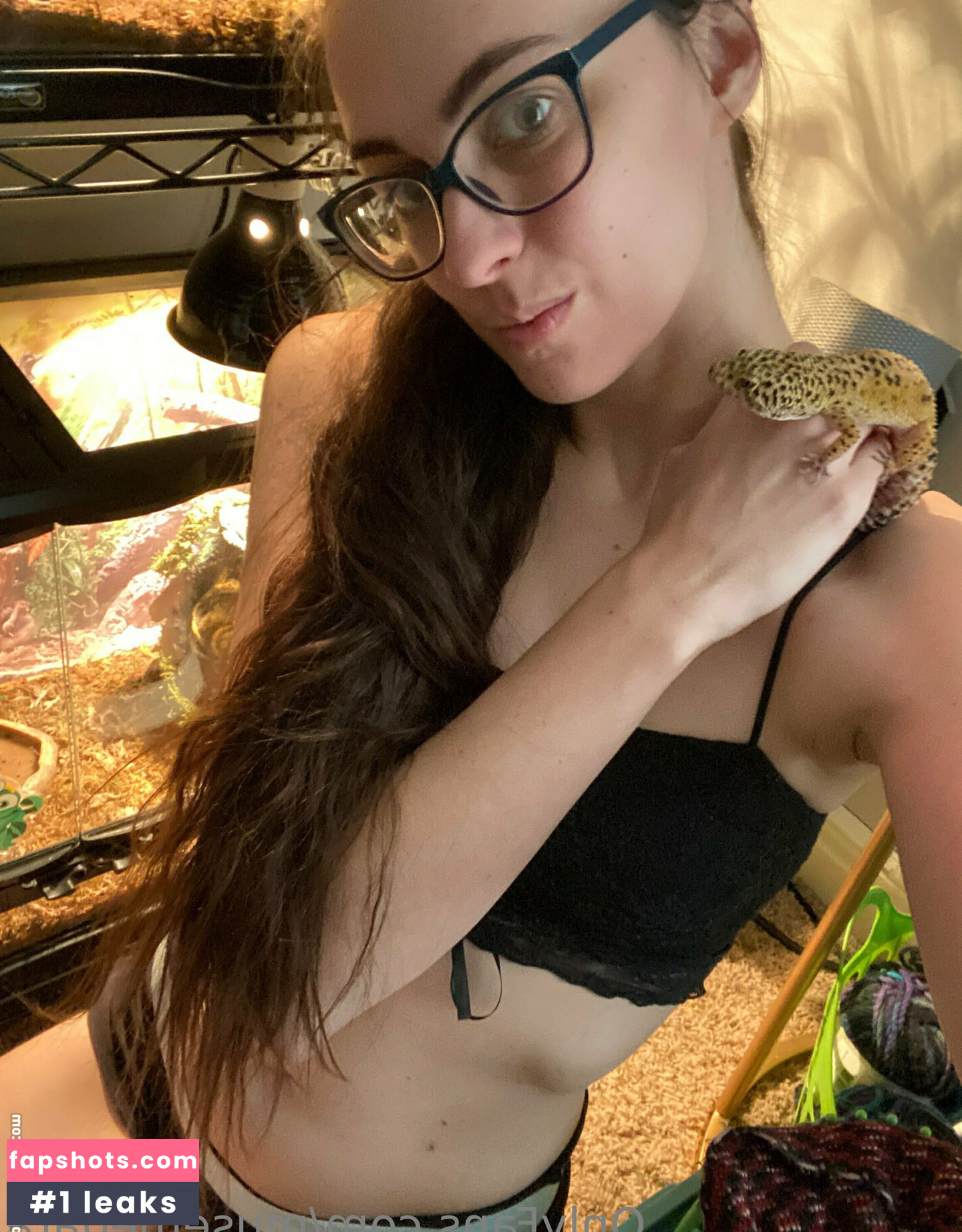 musemegara gallery photo #10