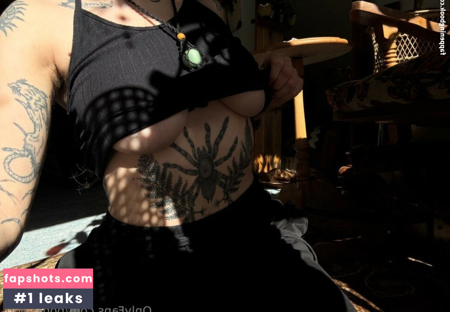 Mushbugs gallery photo #14