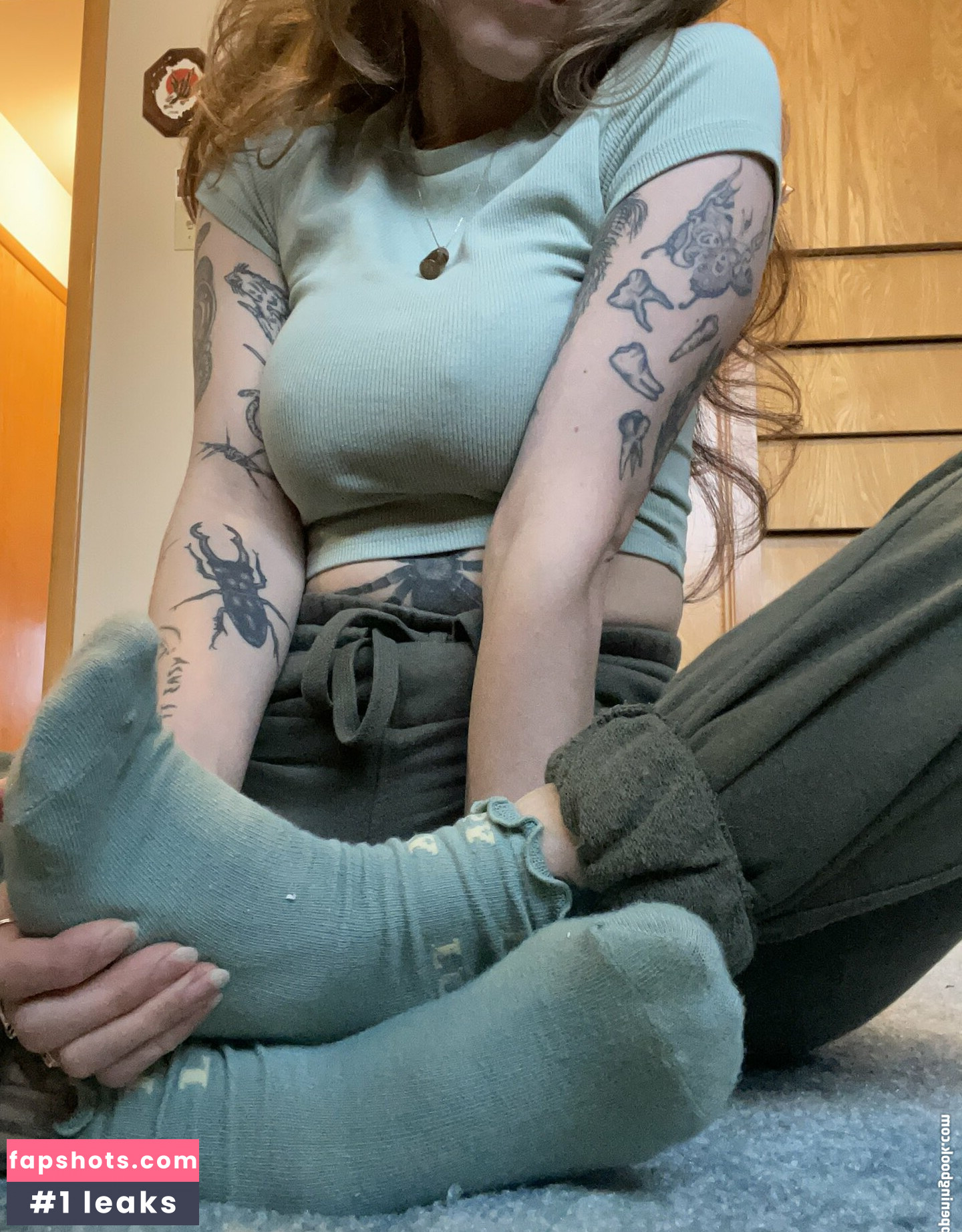 Mushbugs gallery photo #15