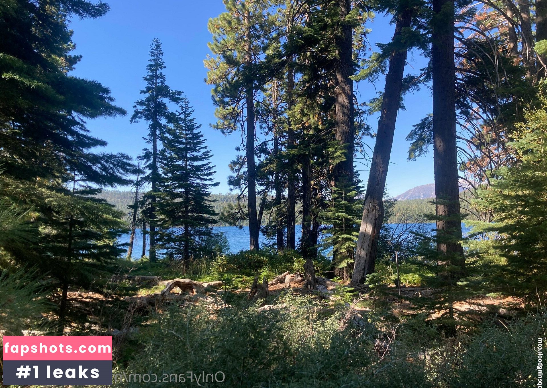 mymaryangell gallery photo #8