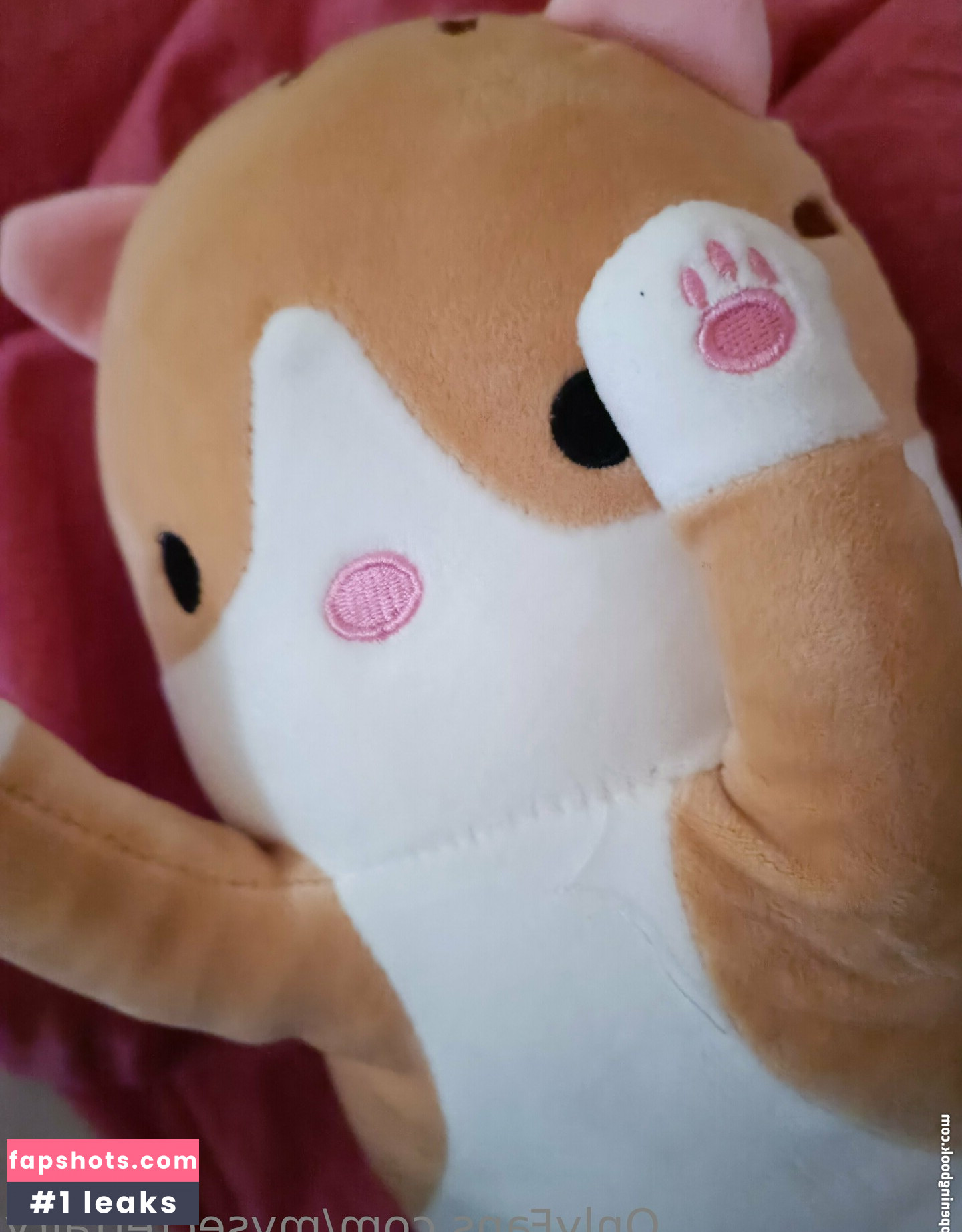 mysecretfairy gallery photo #35