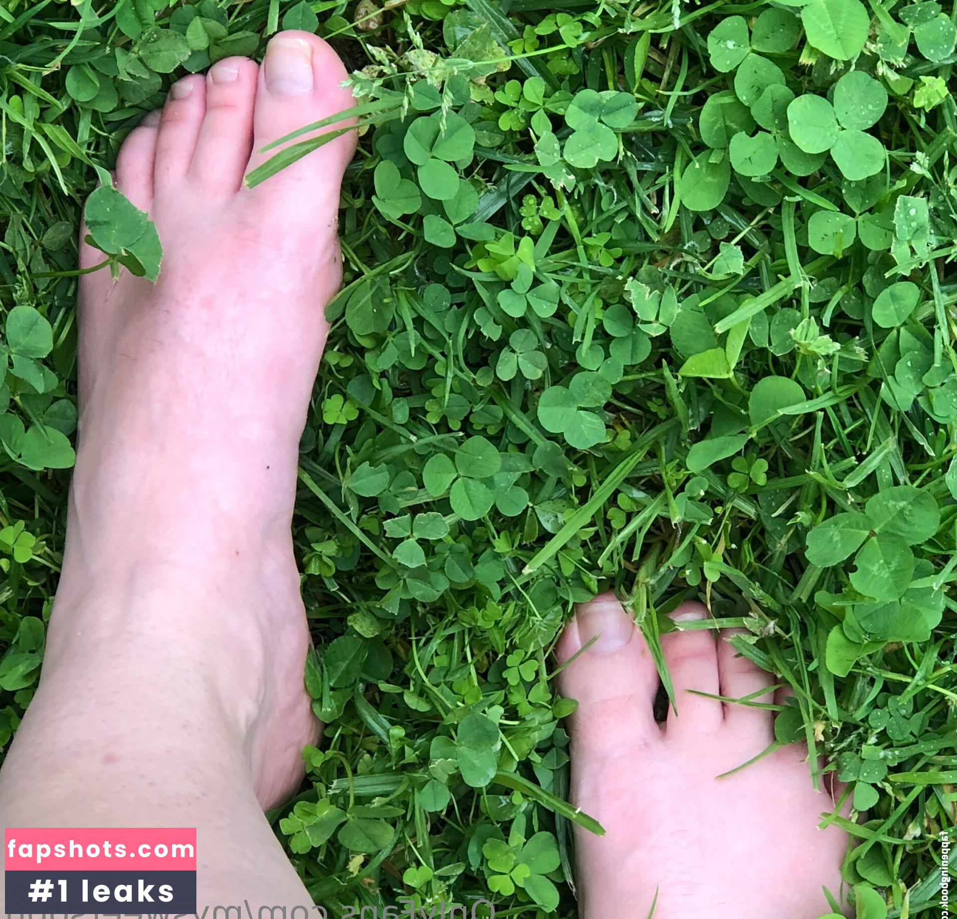 mysweetsoph gallery photo #2