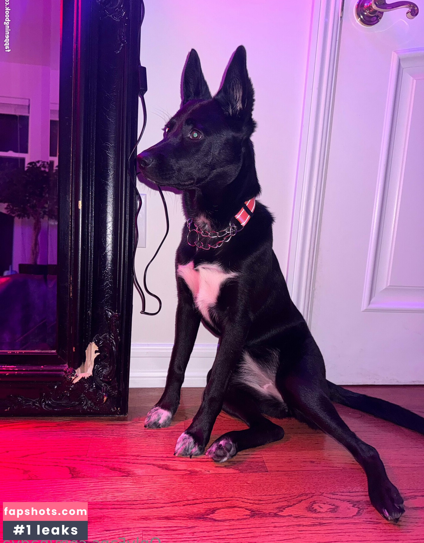 nadya Nude Leaks OnlyFans Photos #18 - LeakJerk