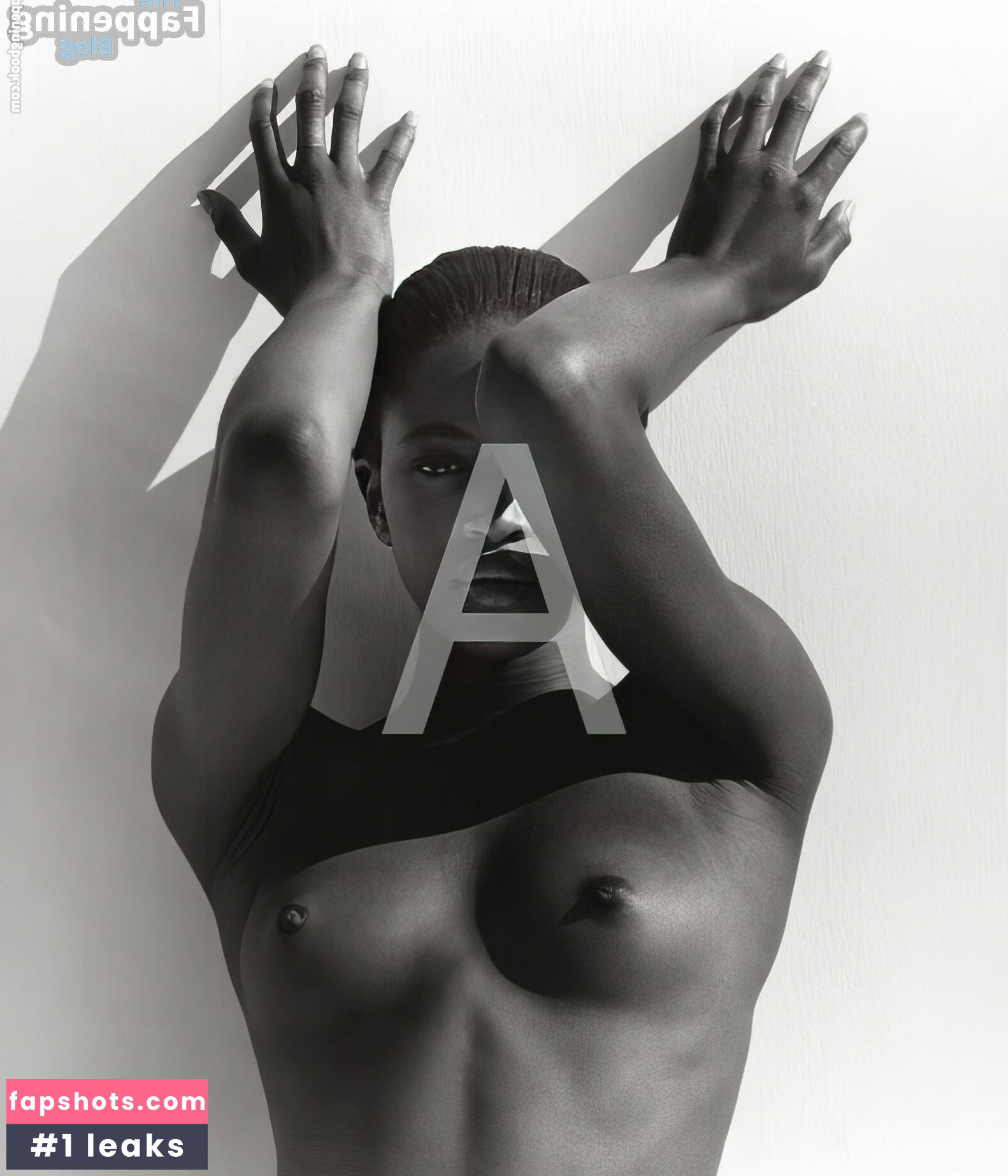 Naomi Campbell Nahé úniky fotek pouze od fanoušků #102 - Fapshots