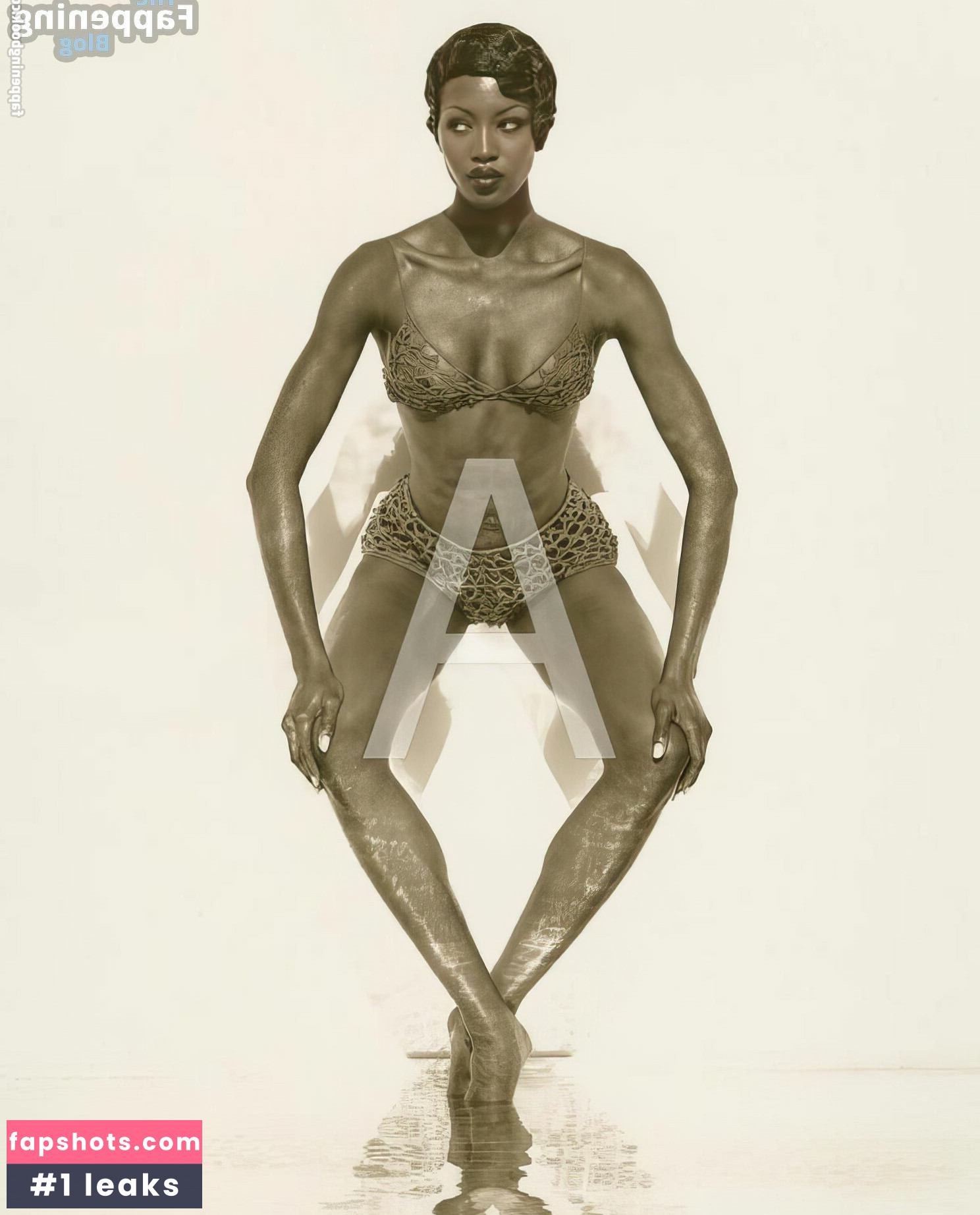 Naomi Campbell Nahé úniky fotek pouze od fanoušků #105 - Fapshots