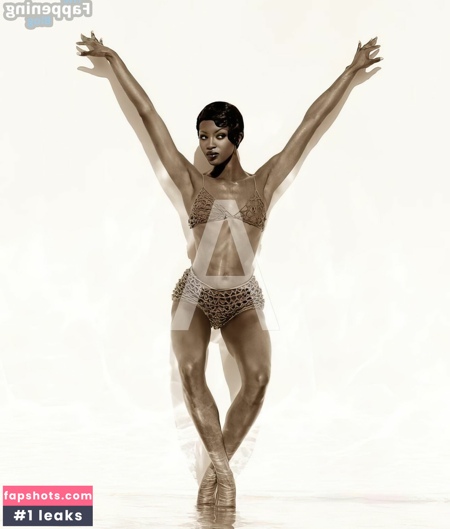 Naomi Campbell Nahé úniky fotek pouze od fanoušků #107 - Fapshots