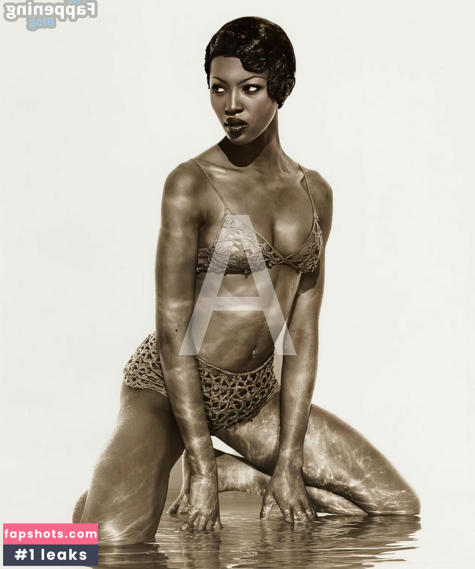 Naomi Campbell Nahé úniky fotek pouze od fanoušků #108 - Fapshots