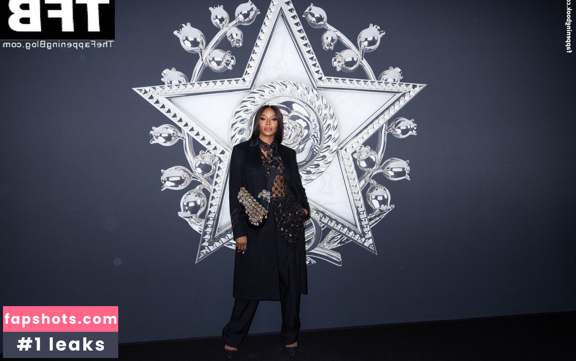 Naomi Campbell Nahé úniky fotek pouze od fanoušků #179 - Fapshots