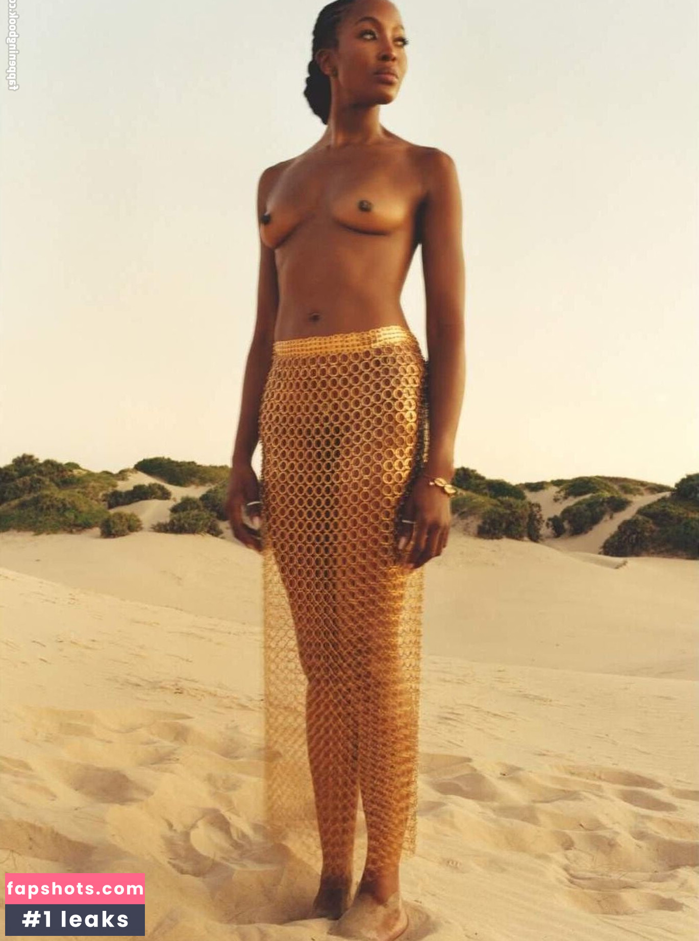 Naomi Campbell Nahé úniky fotek pouze od fanoušků #204 - Fapshots