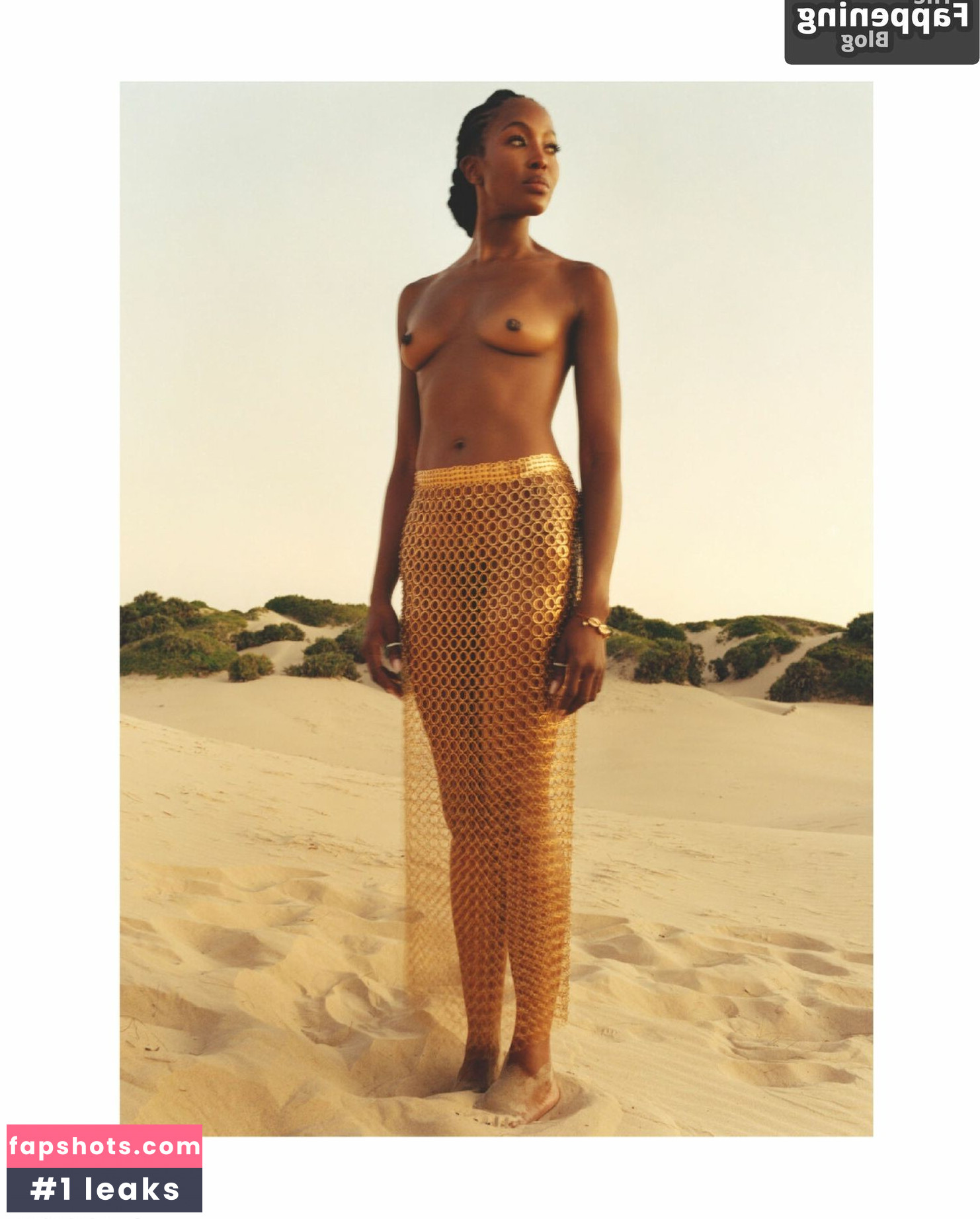 Naomi Campbell Nahé úniky fotek pouze od fanoušků #69 - Fapshots