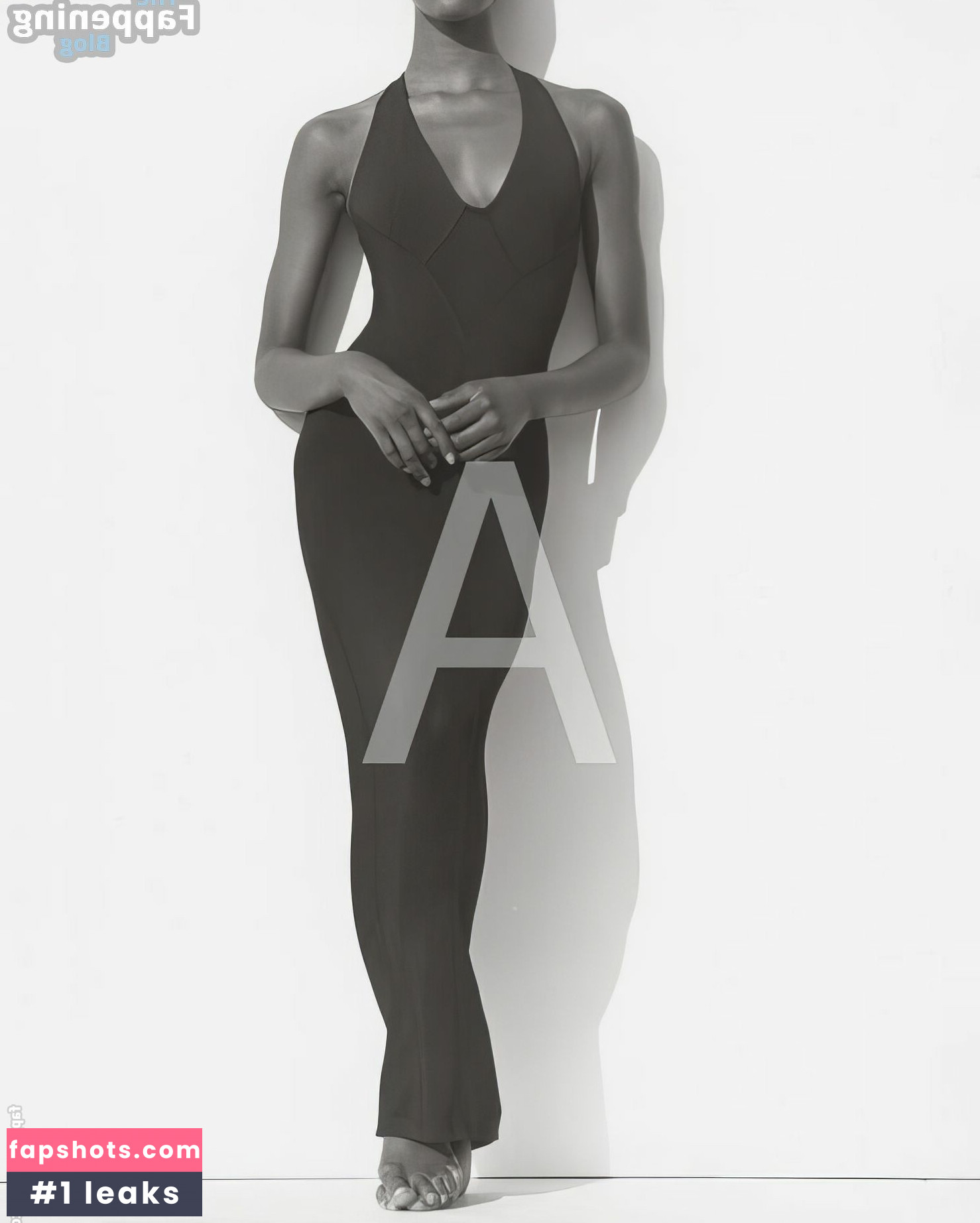 Naomi Campbell Nahé úniky fotek pouze od fanoušků #90 - Fapshots