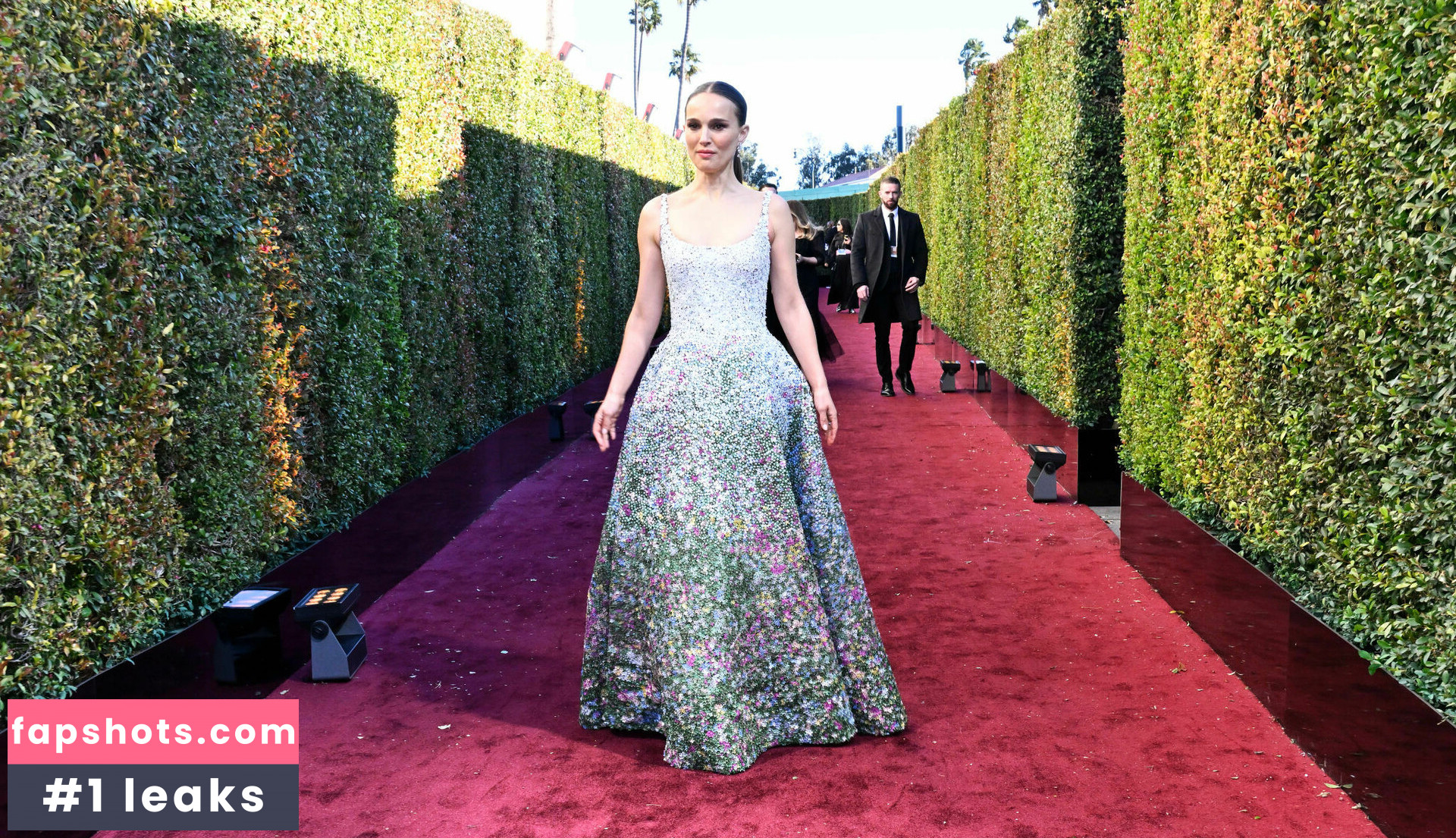 Natalie Portman Nahé úniky fotek pouze od fanoušků #363 - Fapshots