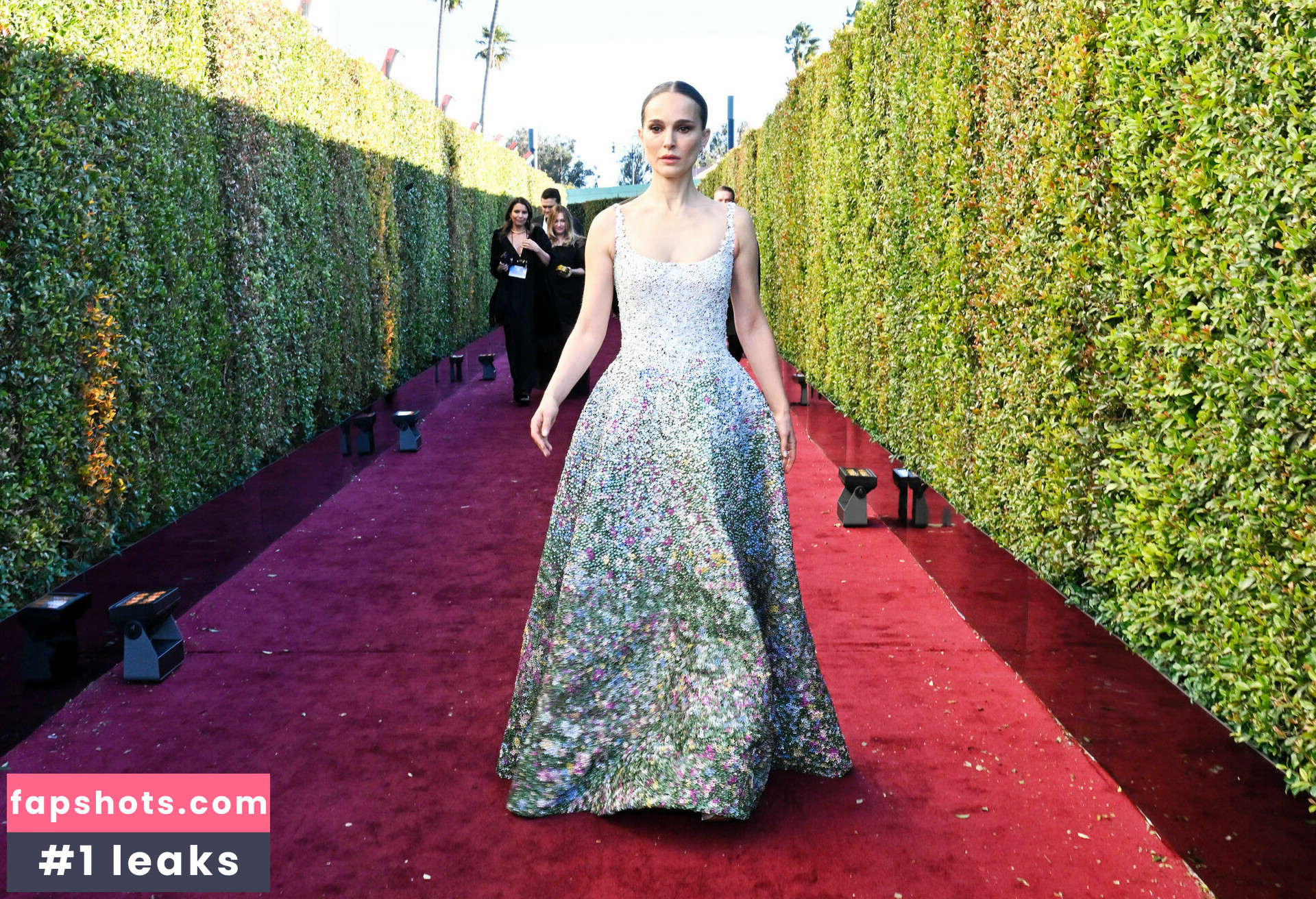 Natalie Portman Nahé úniky fotek pouze od fanoušků #374 - Fapshots