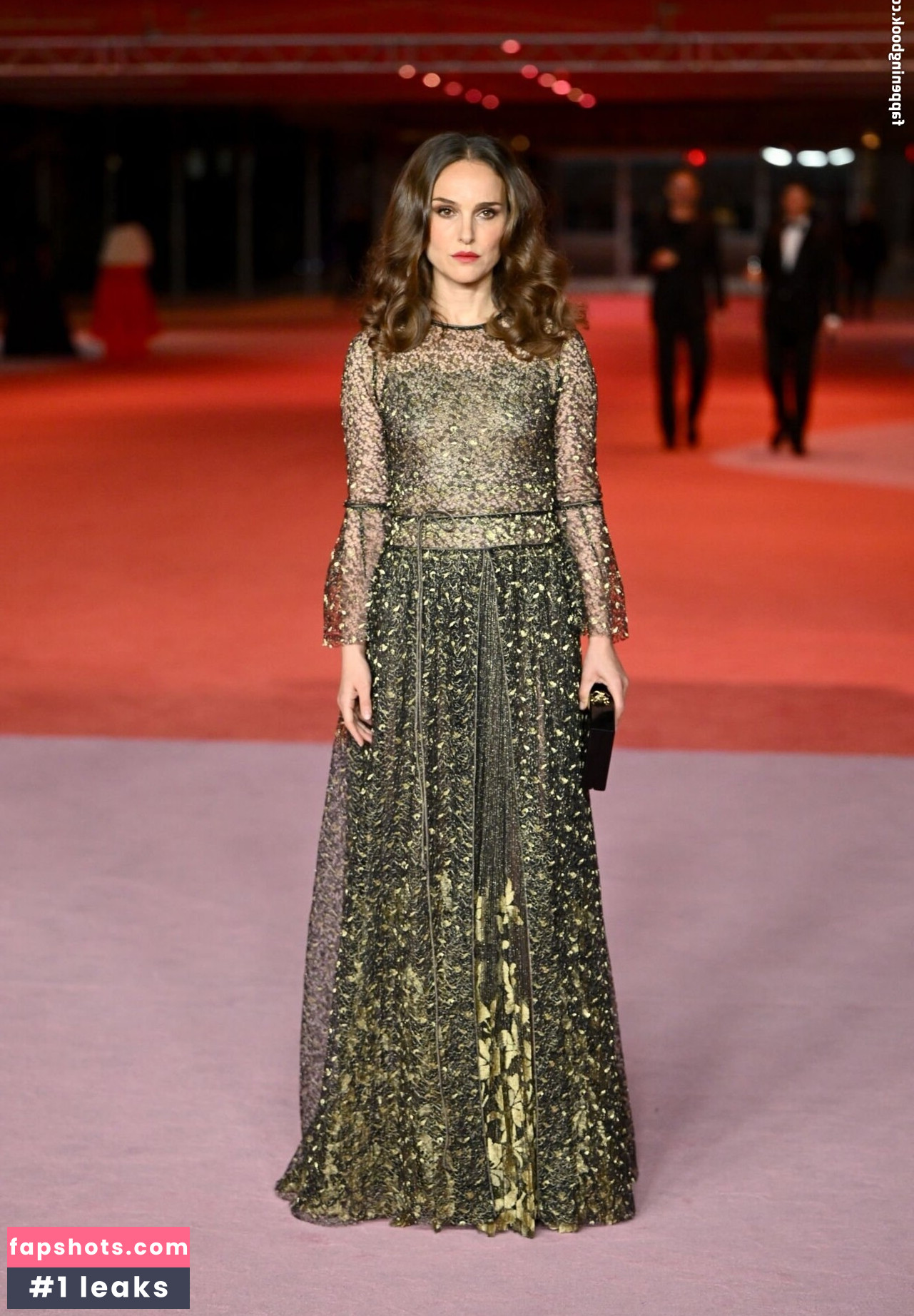 Natalie Portman Nahé úniky fotek pouze od fanoušků #385 - Fapshots