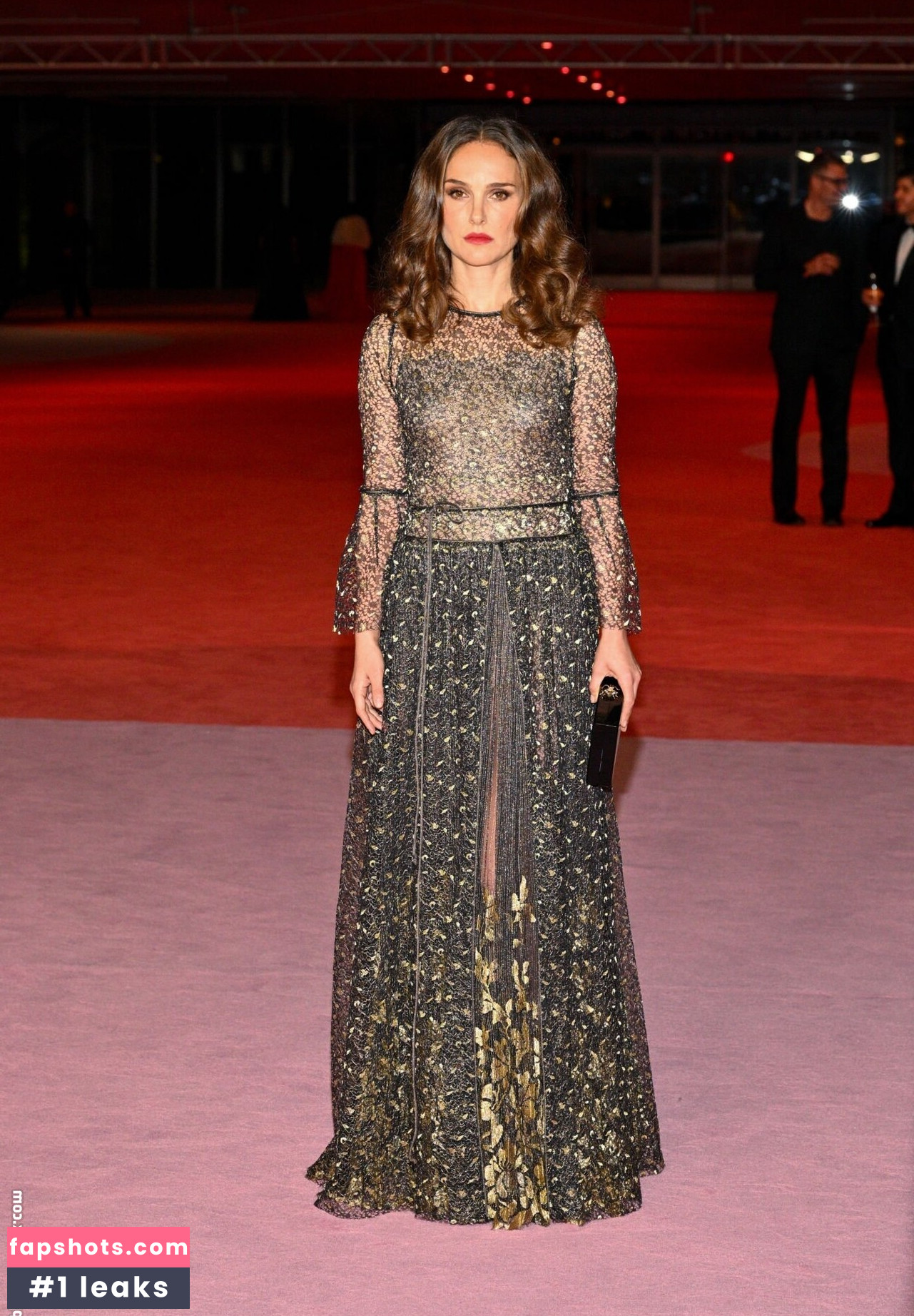 Natalie Portman Nahé úniky fotek pouze od fanoušků #387 - Fapshots