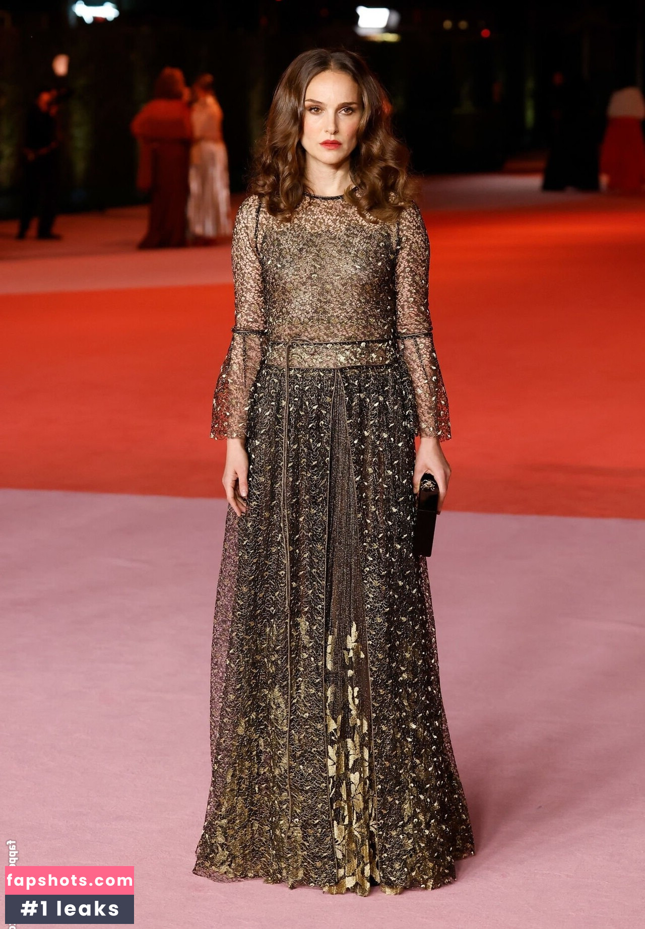 Natalie Portman Nahé úniky fotek pouze od fanoušků #388 - Fapshots