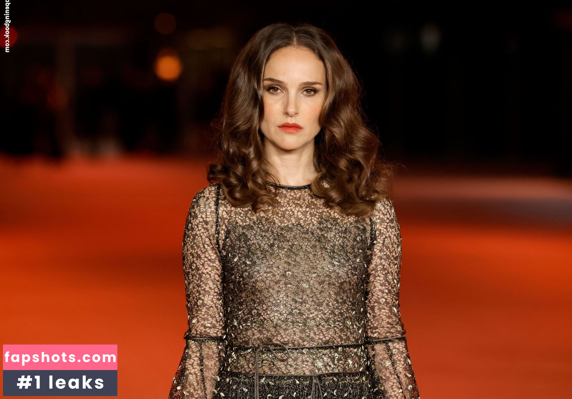 Natalie Portman Nahé úniky fotek pouze od fanoušků #389 - Fapshots