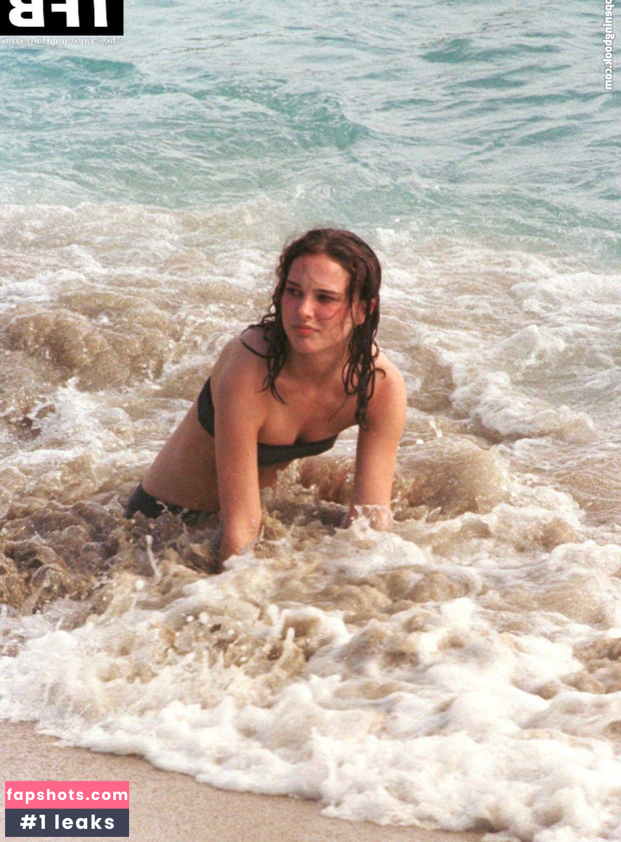 Natalie Portman Nahé úniky fotek pouze od fanoušků #740 - Fapshots