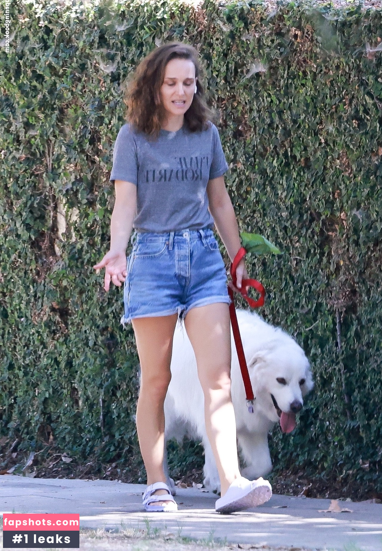 Natalie Portman Nahé úniky fotek pouze od fanoušků #771 - Fapshots