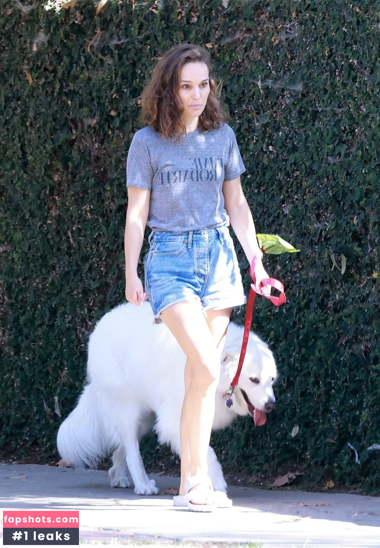 Natalie Portman Nahé úniky fotek pouze od fanoušků #781 - Fapshots