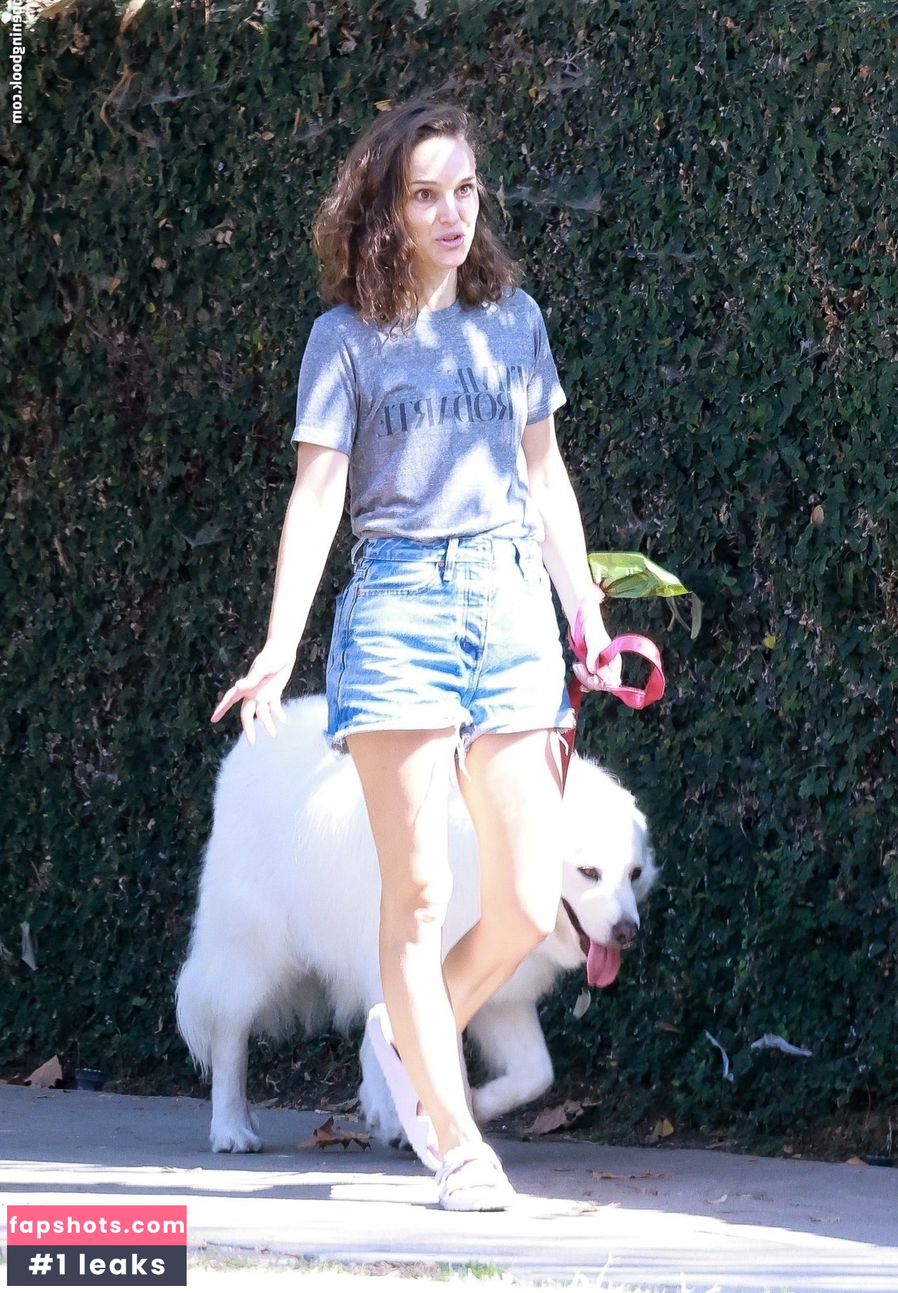 Natalie Portman Nahé úniky fotek pouze od fanoušků #784 - Fapshots