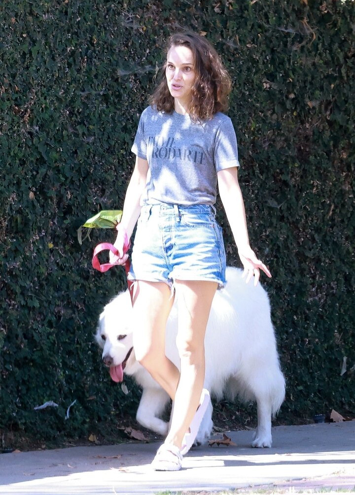 natalie-portman Nude Leaks OnlyFans Photos #1530 - LeakJerk