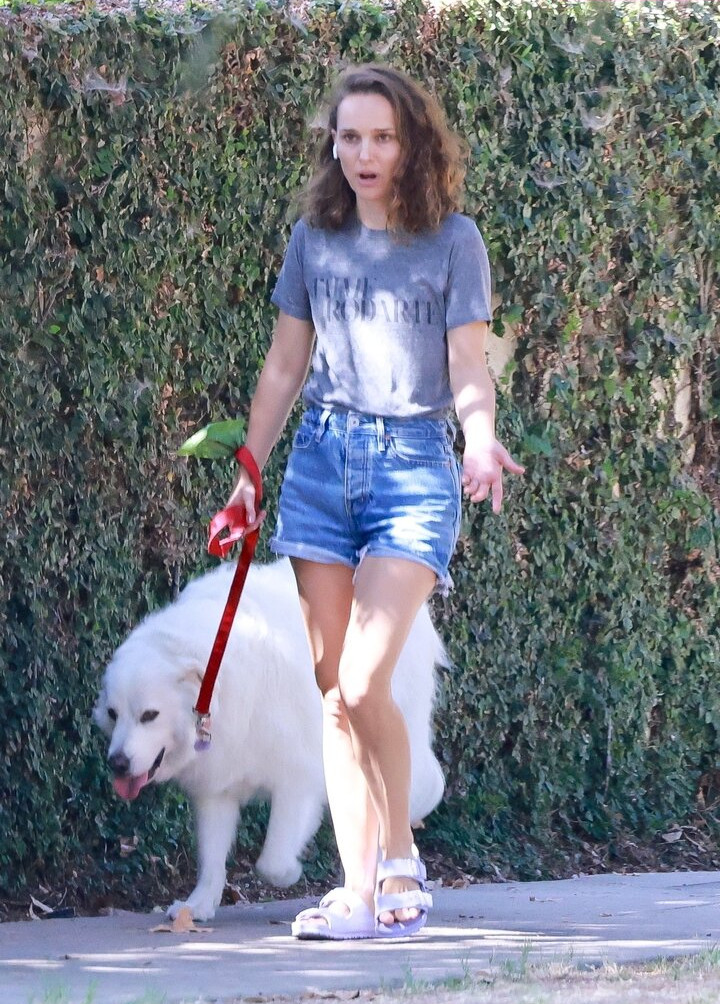 natalie-portman Nude Leaks OnlyFans Photos #1531 - LeakJerk