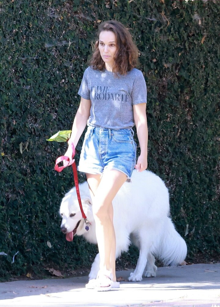 natalie-portman Nude Leaks OnlyFans Photos #1536 - LeakJerk