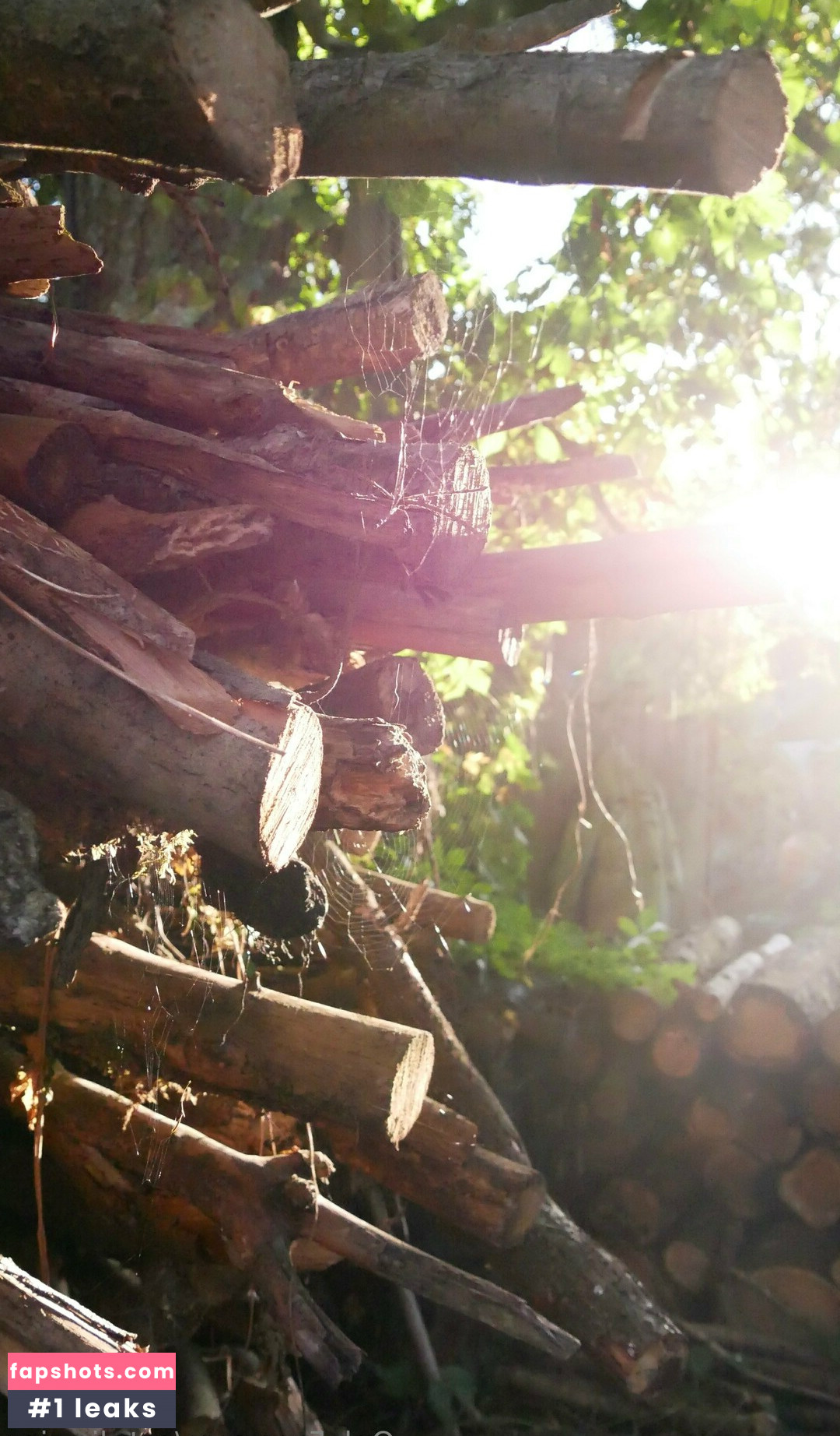 nataliewinz Nude Leaks OnlyFans Photos #15 - LeakJerk