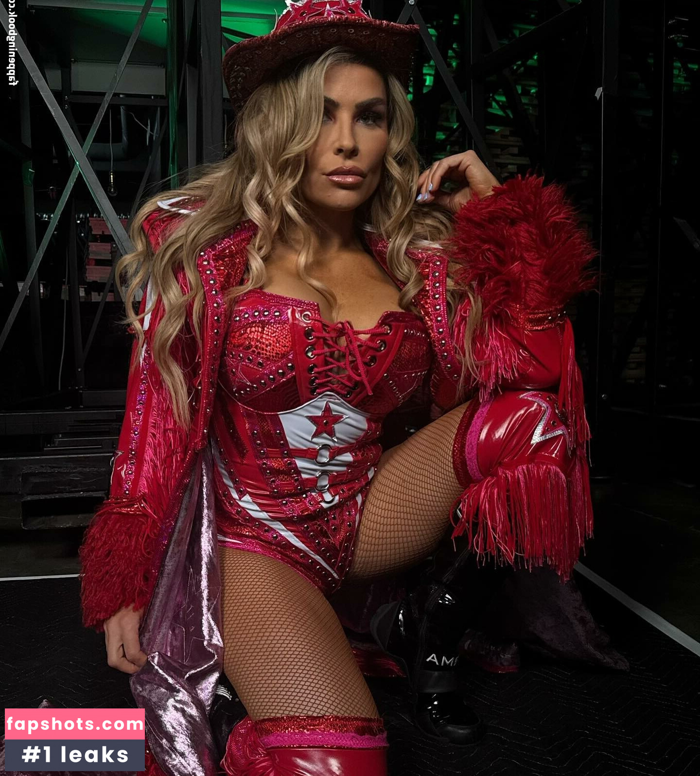 Natalya Neidhart gallery photo #47