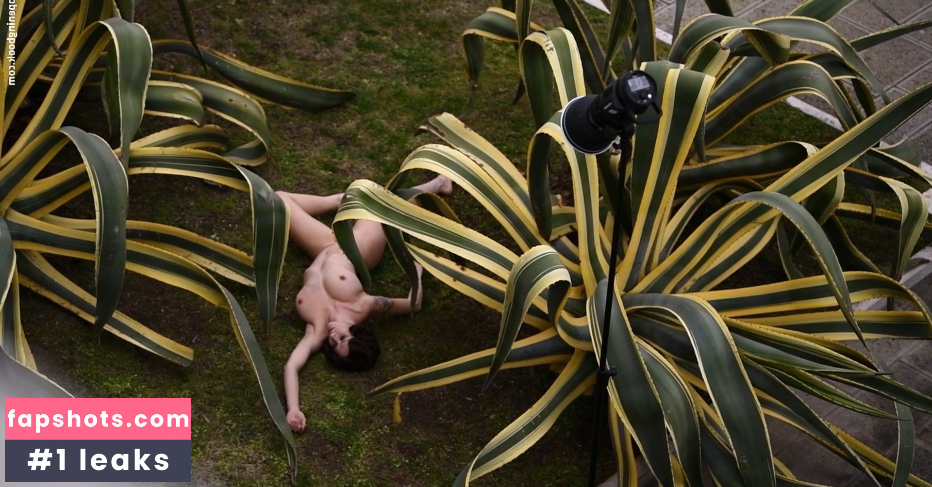 Natasha Legeyda gallery photo #190