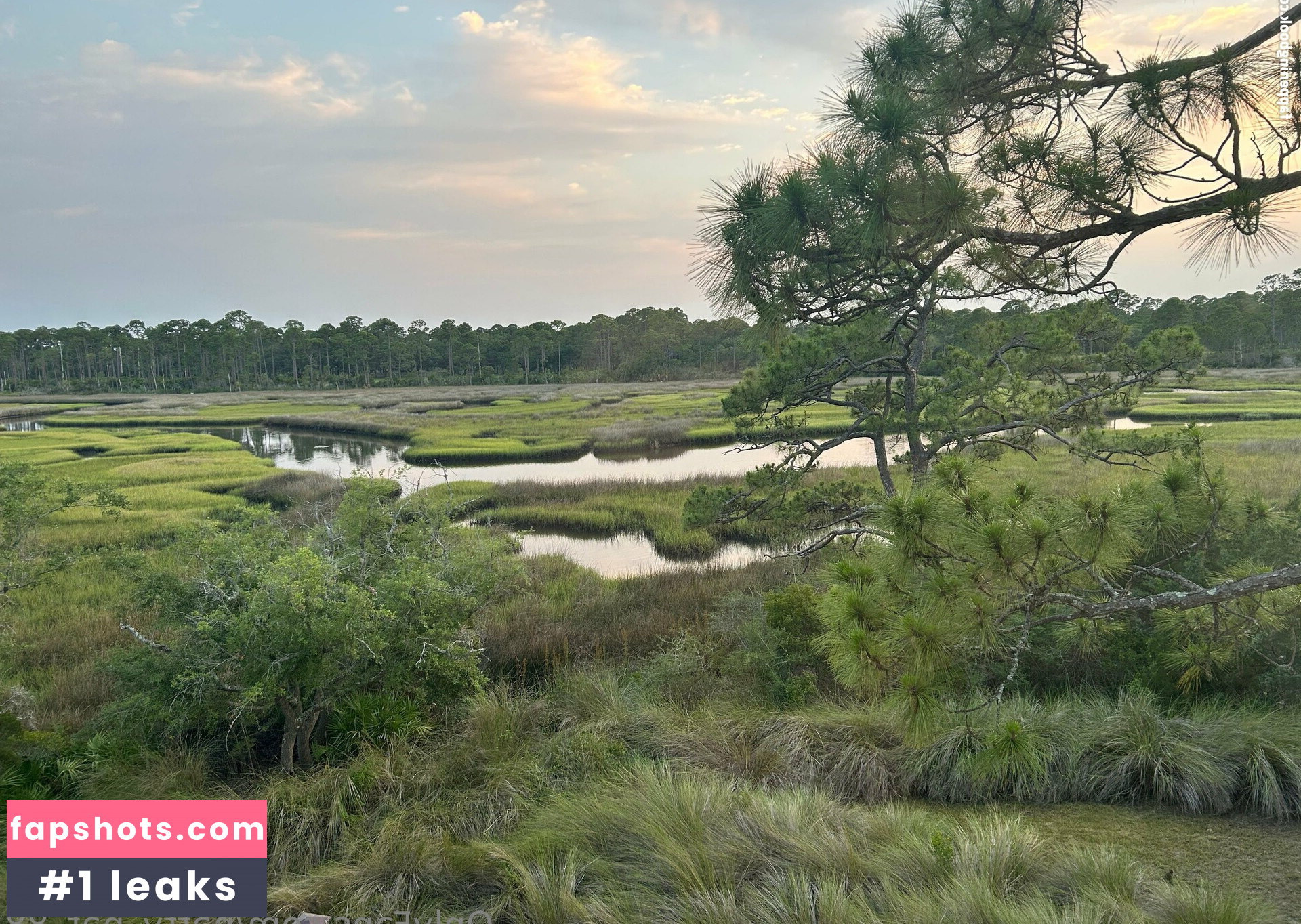 natty_nat_88 Nacktheit OnlyFans Fotos #24 - Fapshots