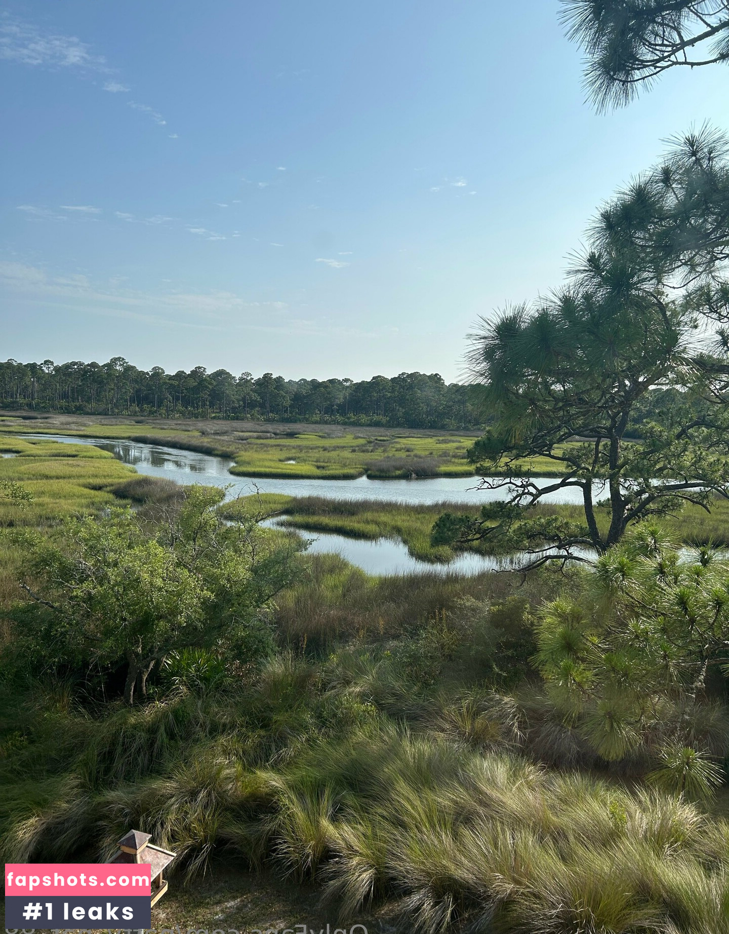 natty_nat_88 Nacktheit OnlyFans Fotos #6 - Fapshots