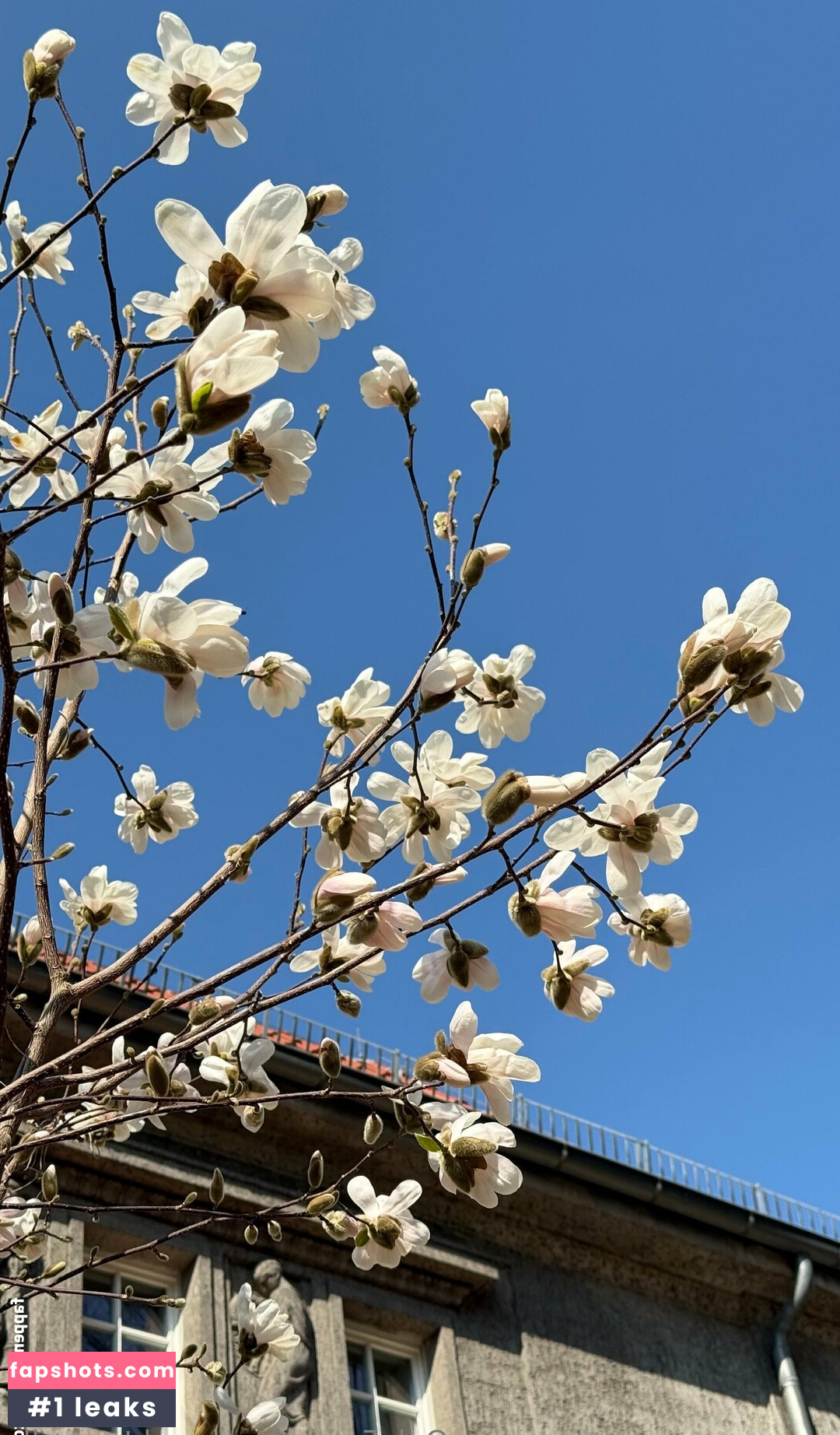 naughty_molly gallery photo #17