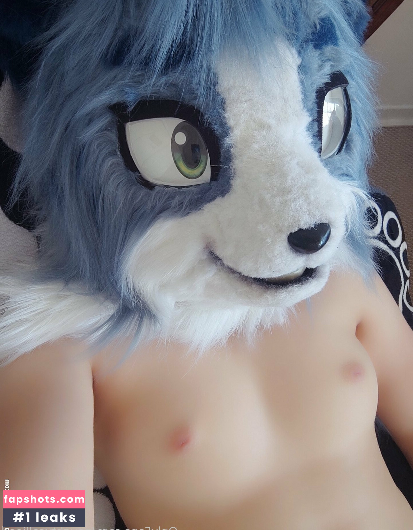 naughtycolliead gallery photo #13