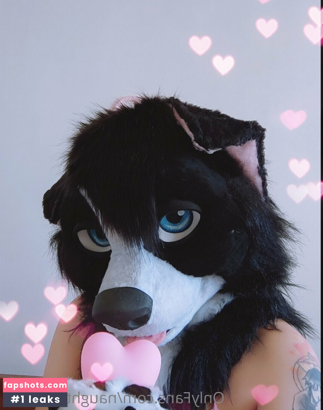 naughtycolliead gallery photo #16