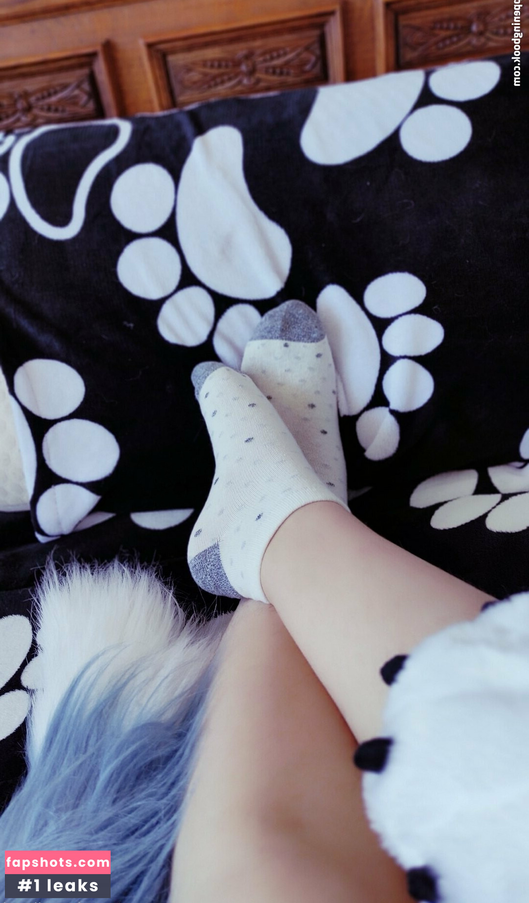 naughtycolliead gallery photo #19