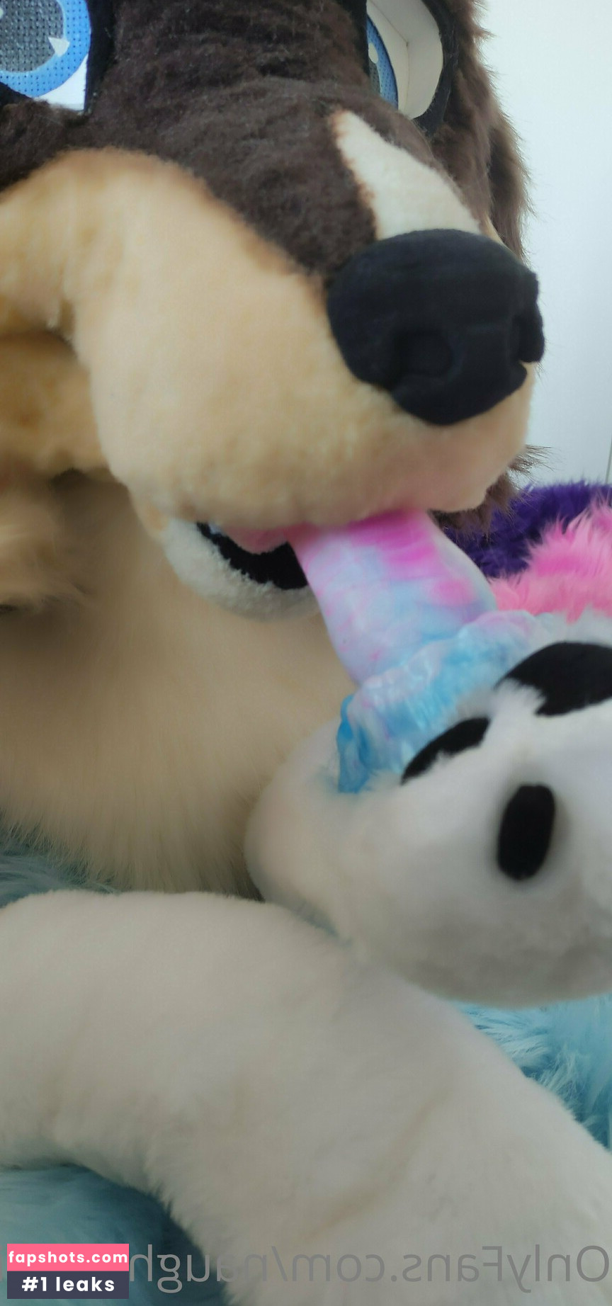 naughtycolliead gallery photo #6