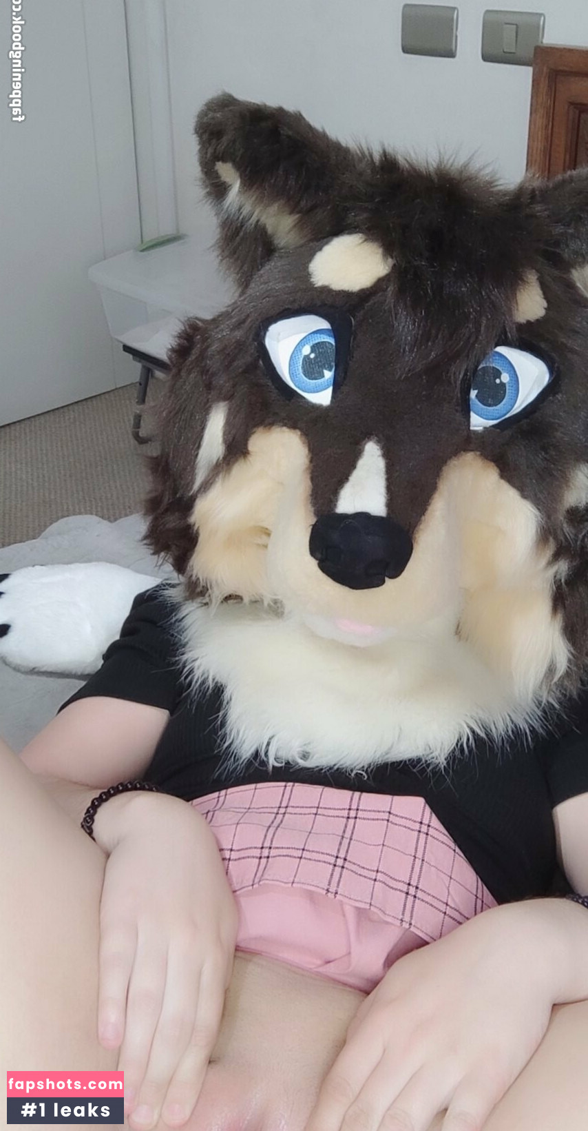 naughtycolliead gallery photo #8