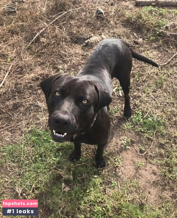 naughtyvettech Nude Leaks OnlyFans Photos #15 - LeakJerk