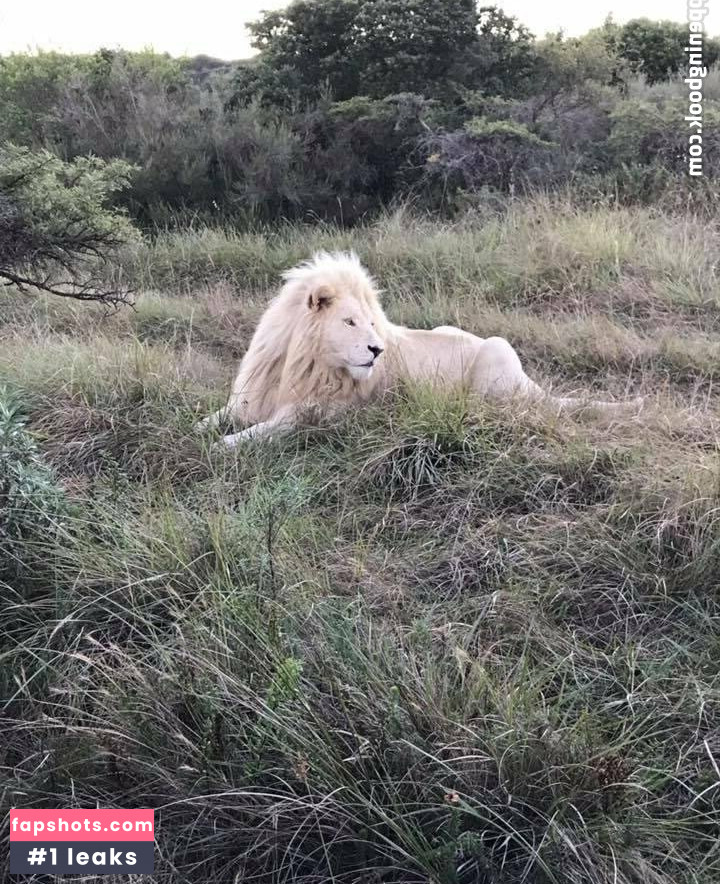 naughtyvettech Nude Leaks OnlyFans Photos #7 - LeakJerk