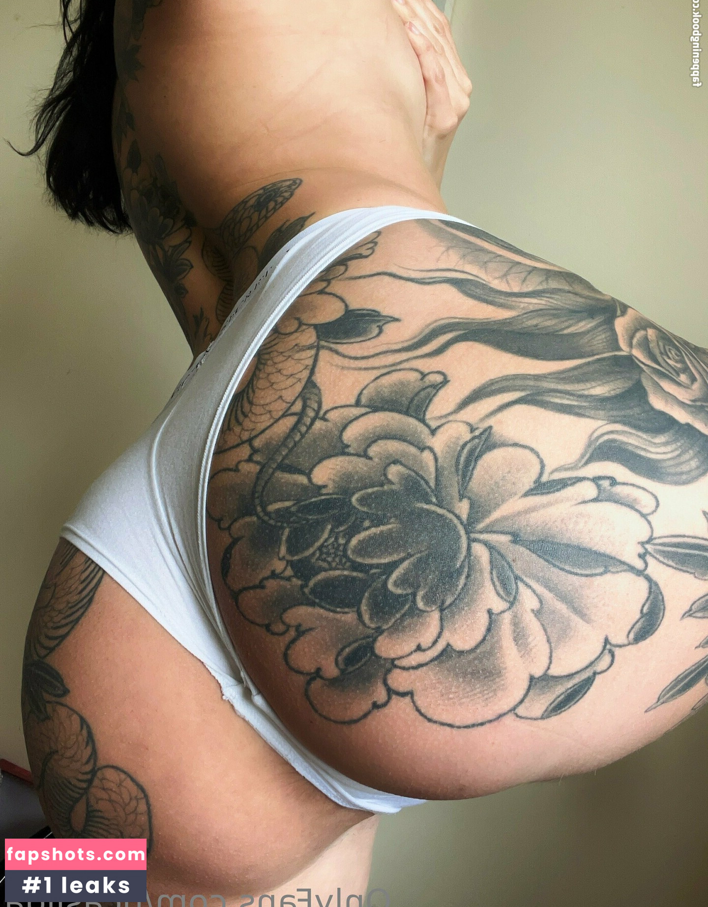 ncaslida gallery photo #13