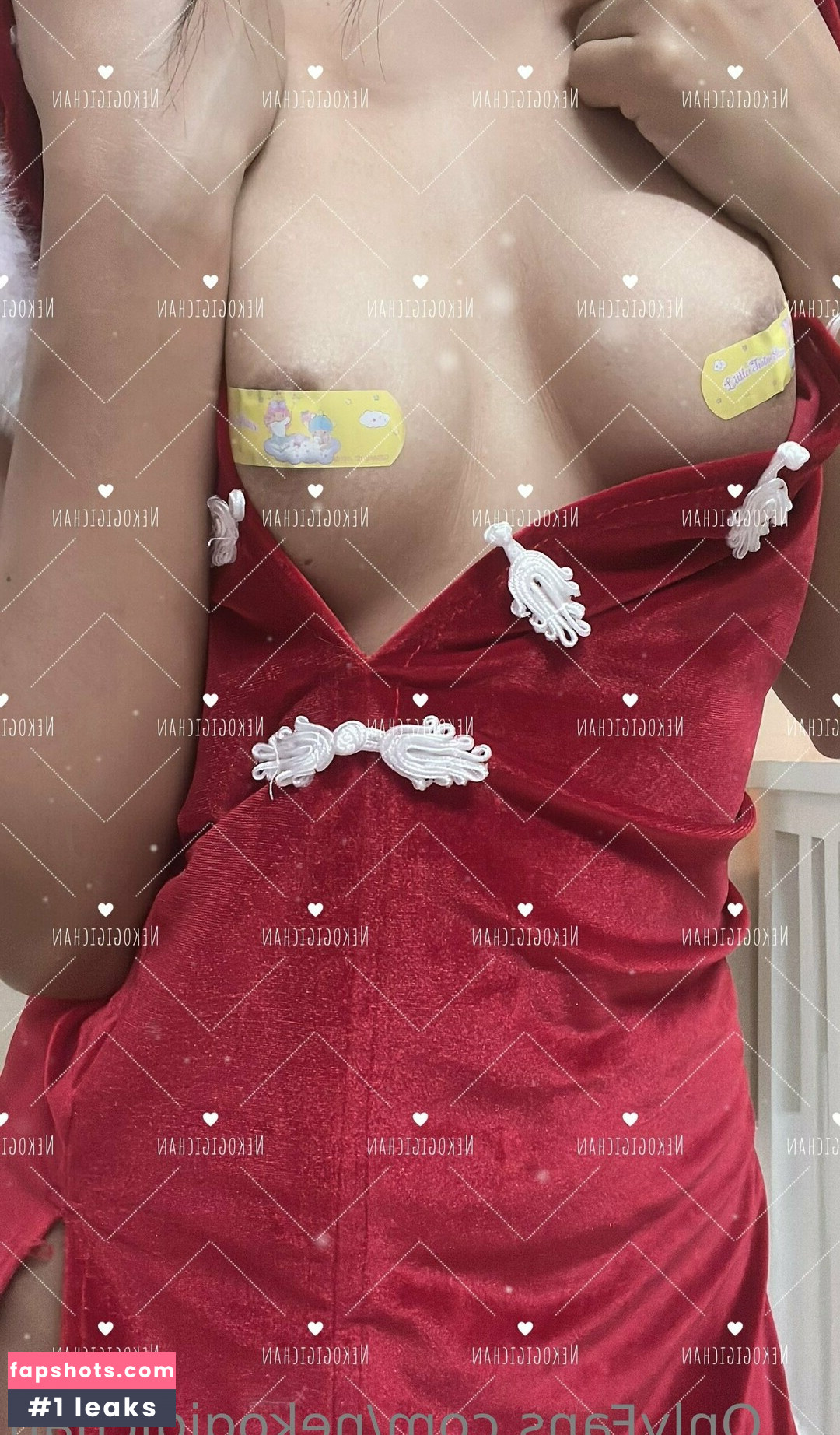 nekogigichan gallery photo #60