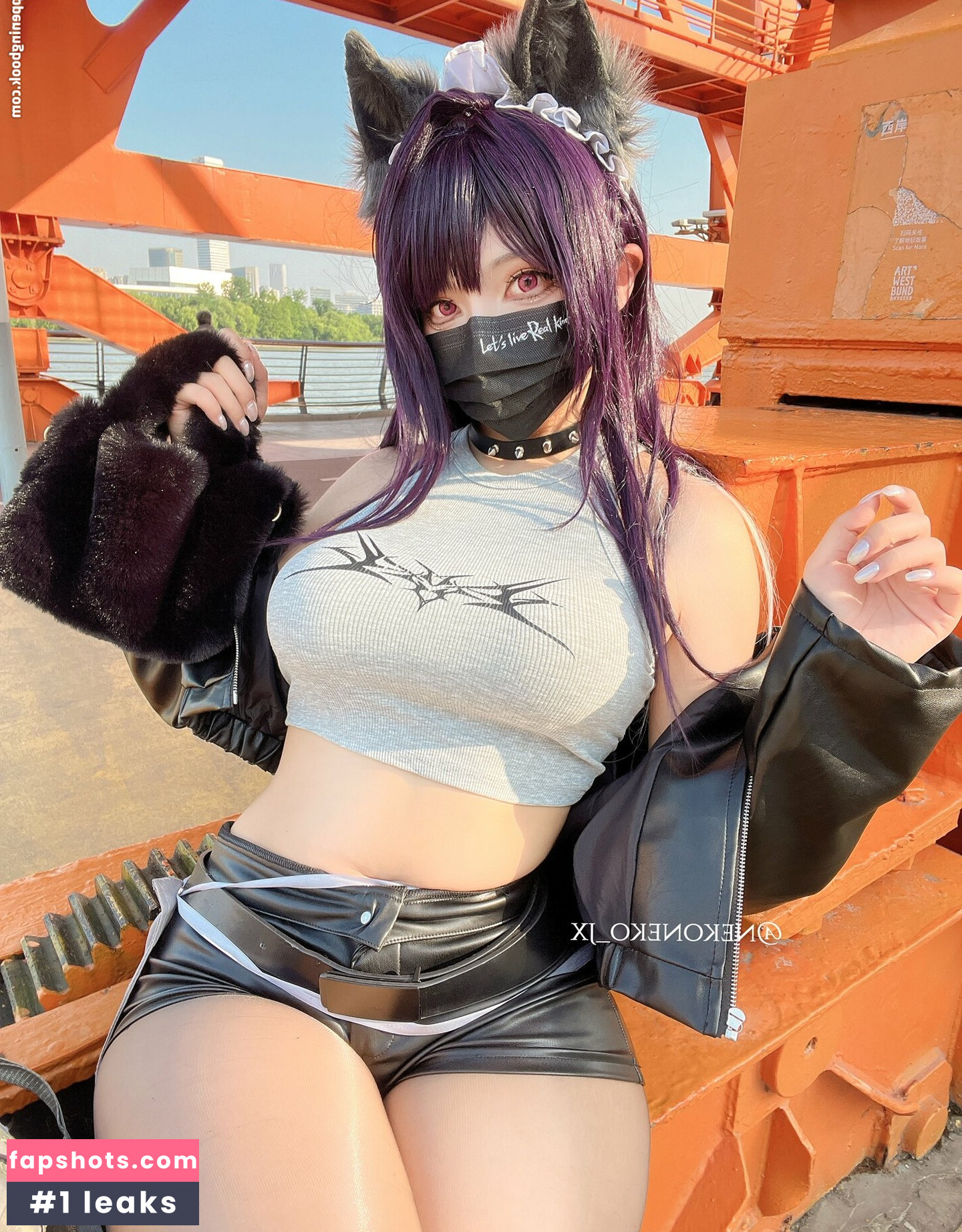 Nekoneko JX gallery photo #2