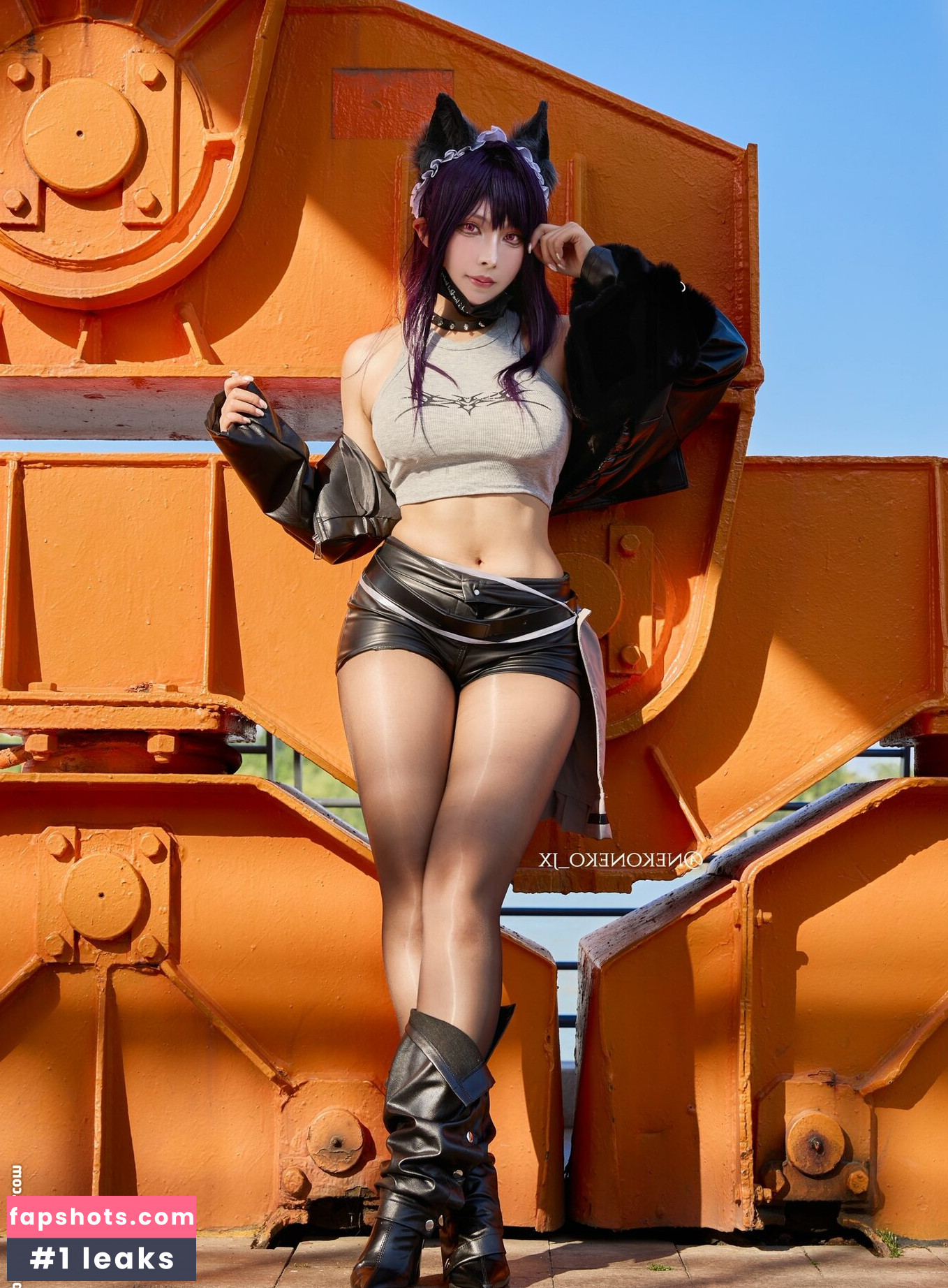 Nekoneko JX gallery photo #7