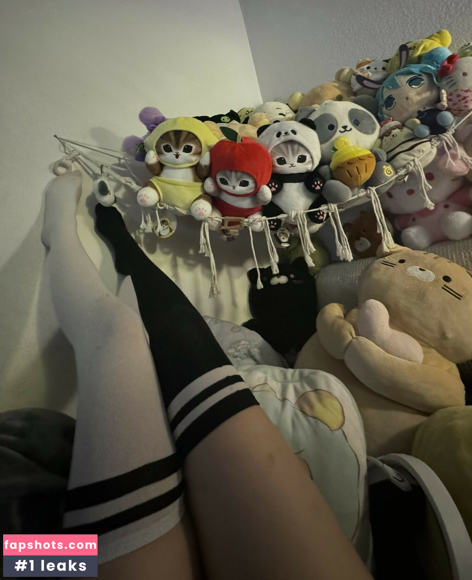 nerpxp gallery photo #4