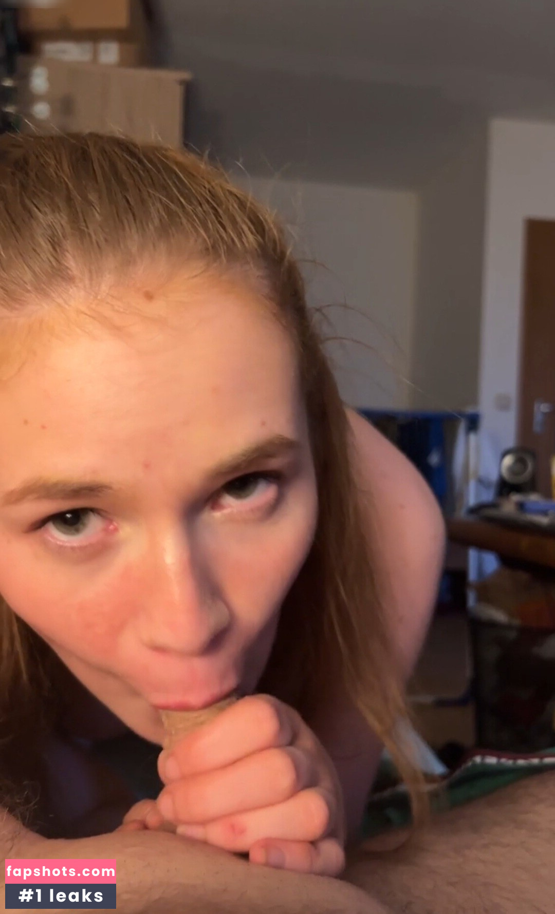 Nexeyredfox gallery photo #2