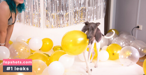 Nichameleon gallery photo #4495