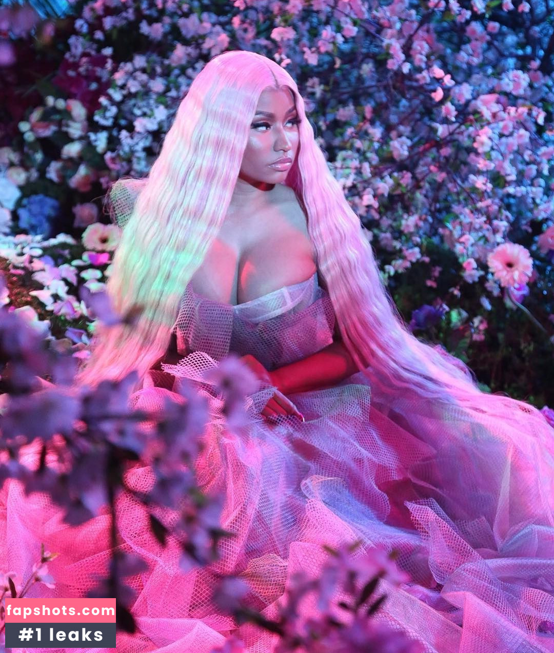 Nicki Minaj gallery photo #769